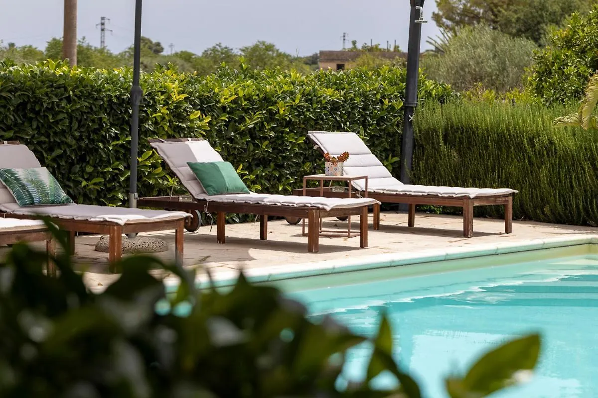 La Casa Dei Limoni Con Piscina Noto Apartment
