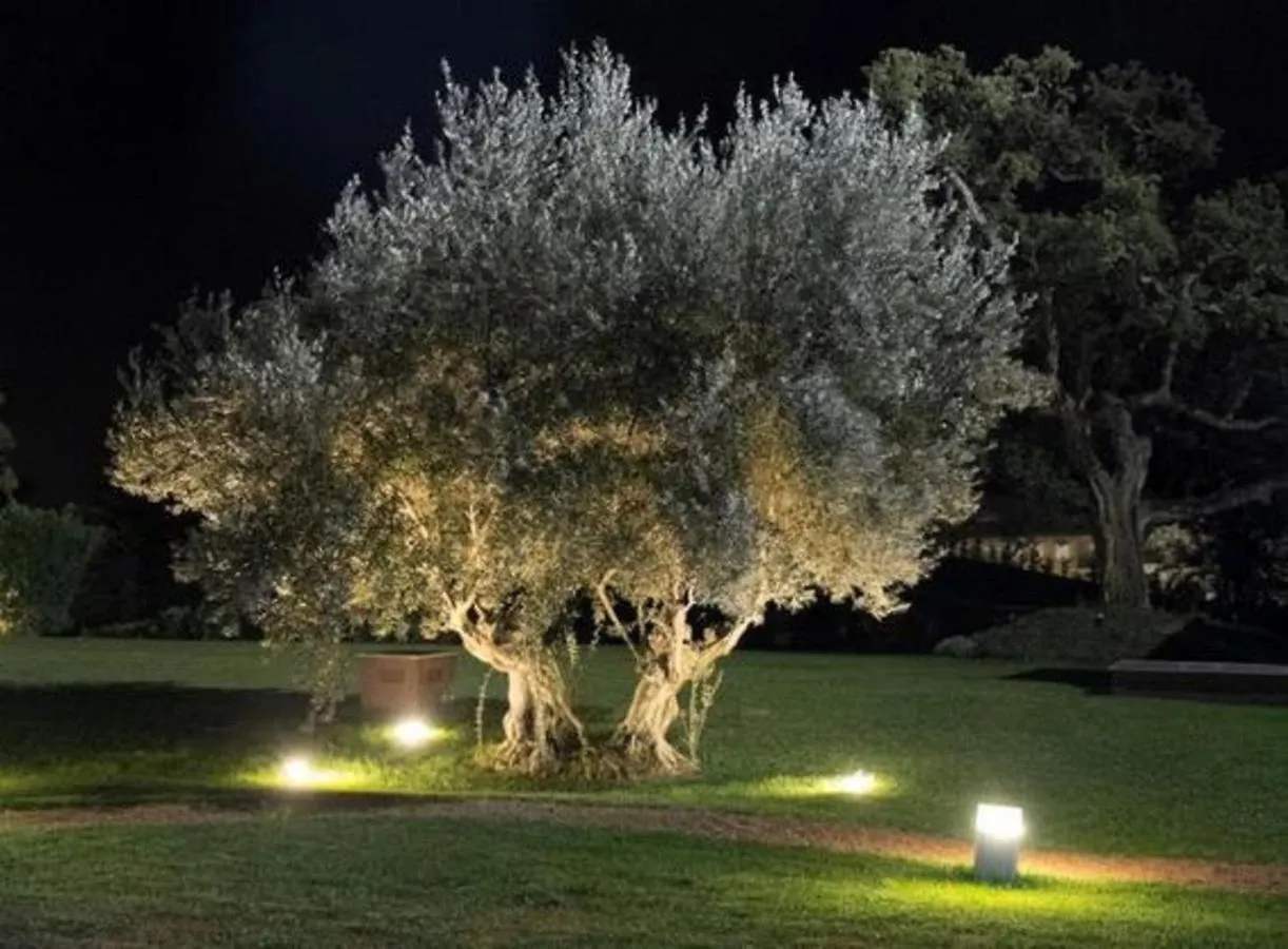 La Casa Dei Limoni Con Piscina Noto Appartement Italië